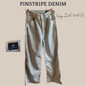 Ag Adriano Goldschmied Striped Denim Trousers in Blue and White